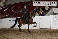 09buck-4173 proof