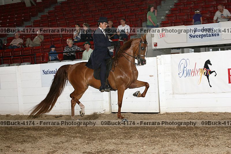 Proof 09buck-4174