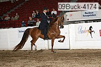 09buck-4174 proof