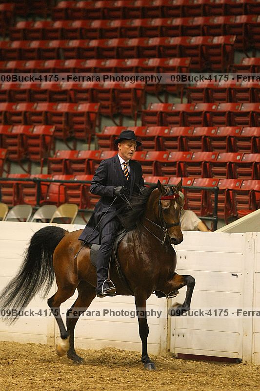 Proof 09buck-4175