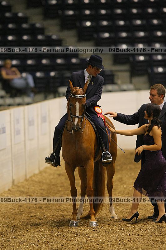 Proof 09buck-4176