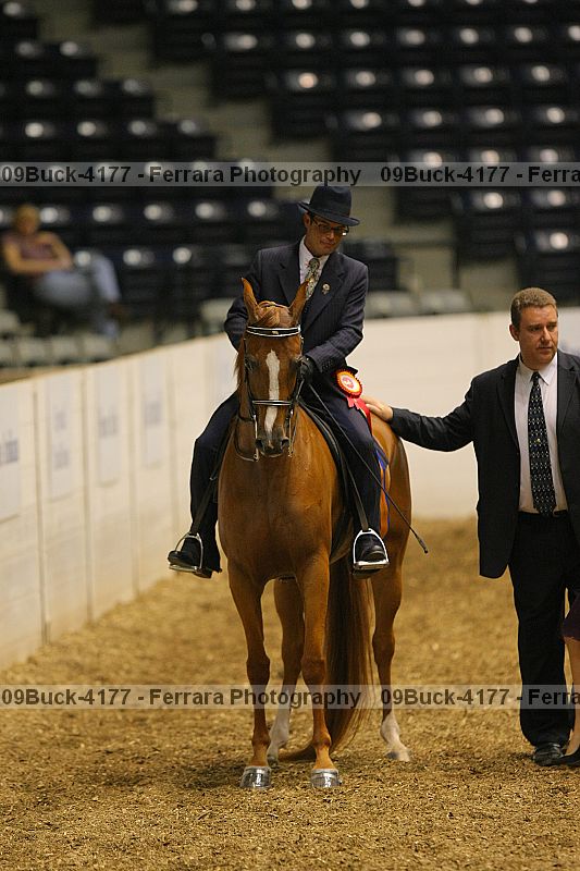 Proof 09buck-4177