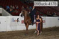 09buck-4178 proof