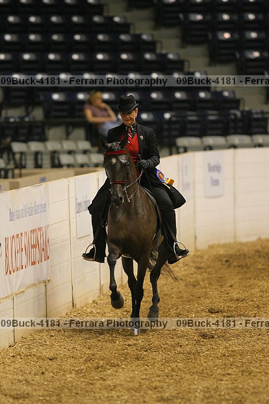 Proof 09buck-4181