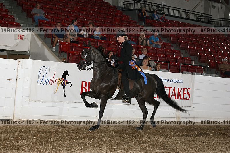 Proof 09buck-4182