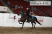 09buck-4182 proof