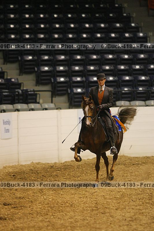 Proof 09buck-4183