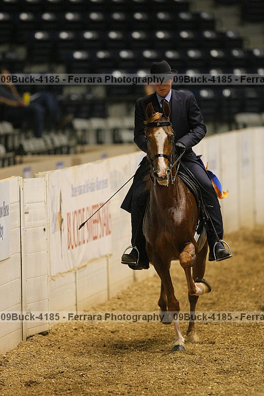 Proof 09buck-4185