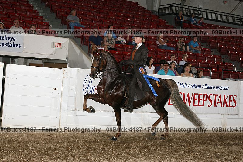 Proof 09buck-4187
