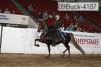 09buck-4187 proof