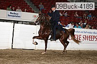 09buck-4189 proof