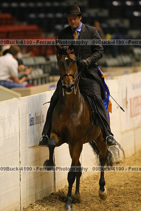 Proof 09buck-4190