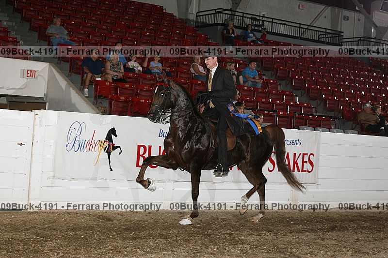 Proof 09buck-4191