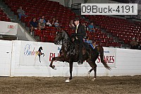 09buck-4191 proof