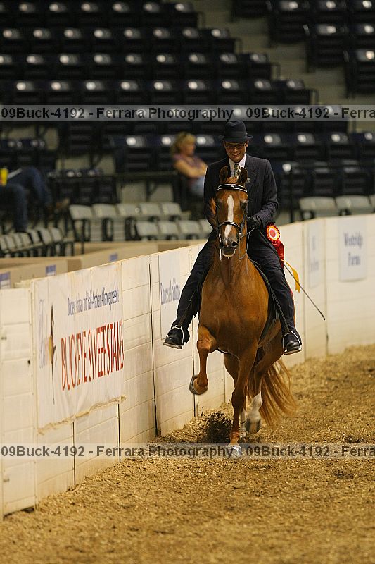 Proof 09buck-4192