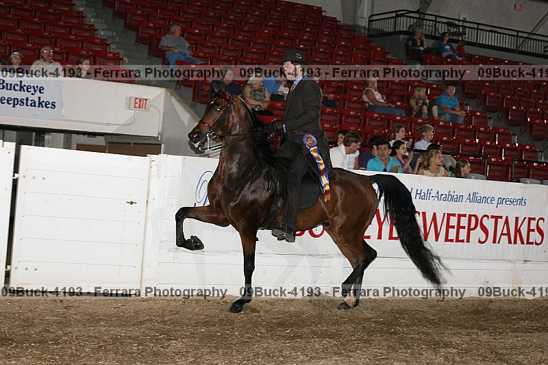 Proof 09buck-4193