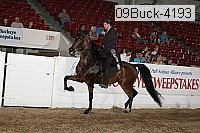 09buck-4193 proof