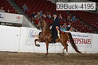 09buck-4195 proof