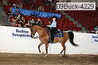 09buck-4229 proof