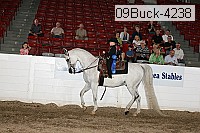 09buck-4238 proof