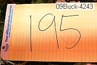09buck-4243 proof