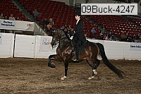 09buck-4247 proof