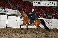 09buck-4254 proof