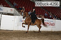 09buck-4256 proof