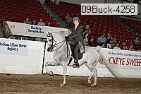 09buck-4258 proof