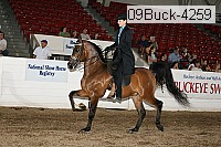 09buck-4259 proof