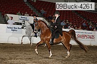 09buck-4261 proof