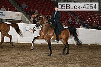 09buck-4264 proof