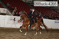09buck-4265 proof