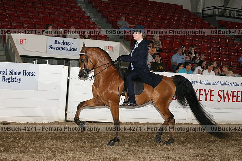 Proof 09buck-4271