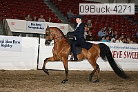 09buck-4271 proof