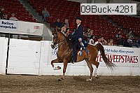09buck-4281 proof