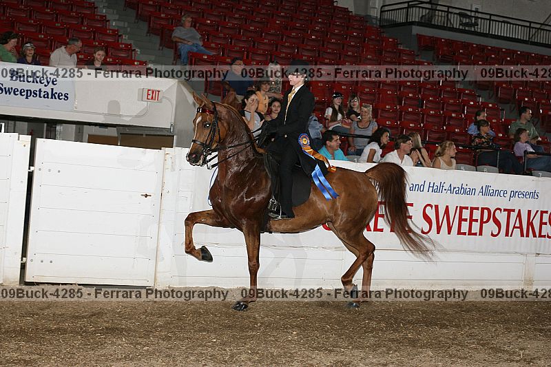 Proof 09buck-4285