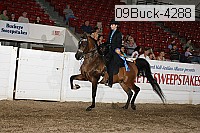09buck-4288 proof