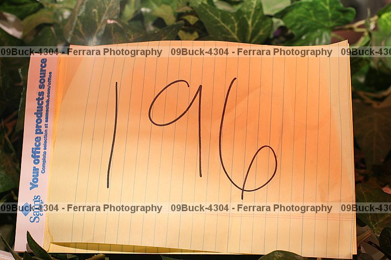 Proof 09buck-4304