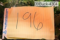 09buck-4304 proof