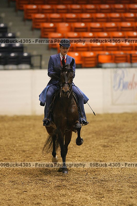 Proof 09buck-4305