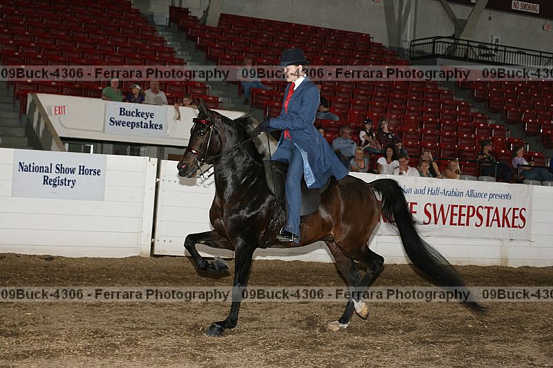 Proof 09buck-4306
