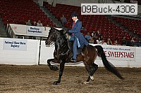09buck-4306 proof