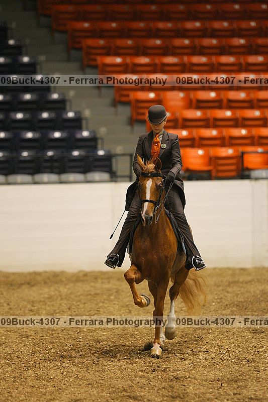 Proof 09buck-4307