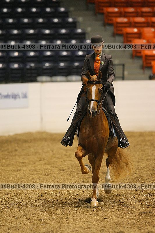 Proof 09buck-4308