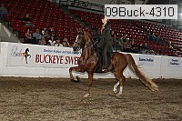 09buck-4310 proof
