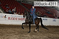 09buck-4311 proof