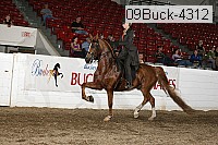 09buck-4312 proof