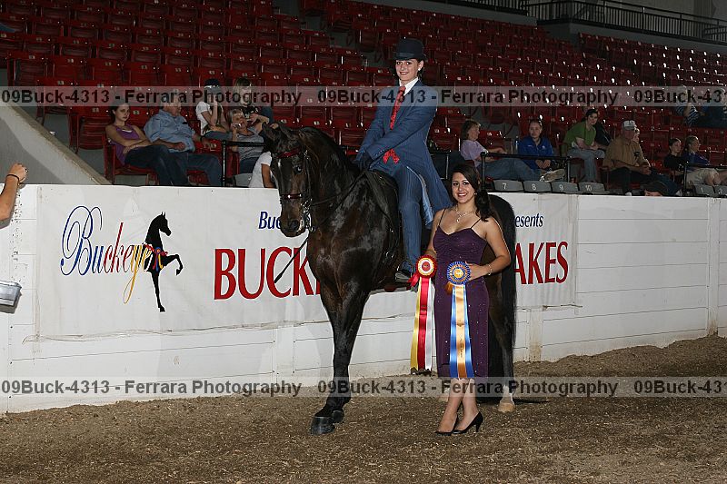 Proof 09buck-4313