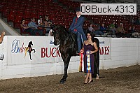 09buck-4313 proof